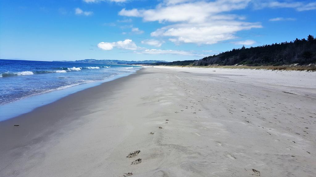 Apartament Close To Beach Auckland Zewnętrze zdjęcie